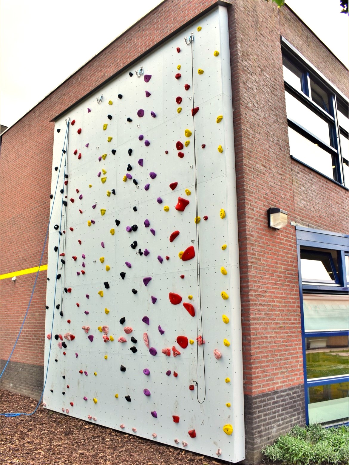 Klimwand op bestaande bakstenen muur bij Accent Praktijkonderwijs Nijkerk